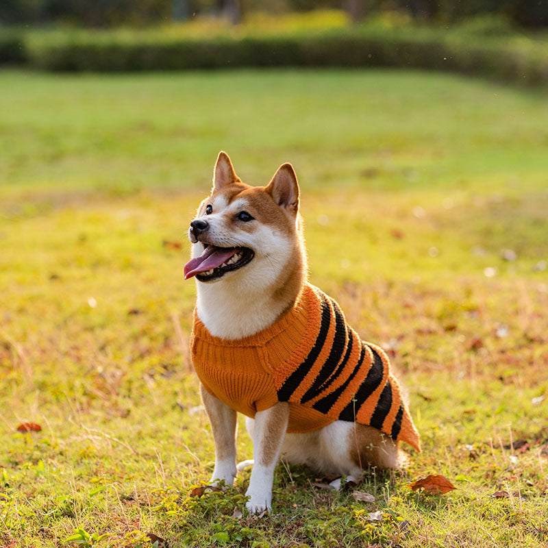 Groom Glory Halloween Dog Sweaters – Cozy Pet Costume for Small Dogs | Fall & Winter Cosplay Outfit
