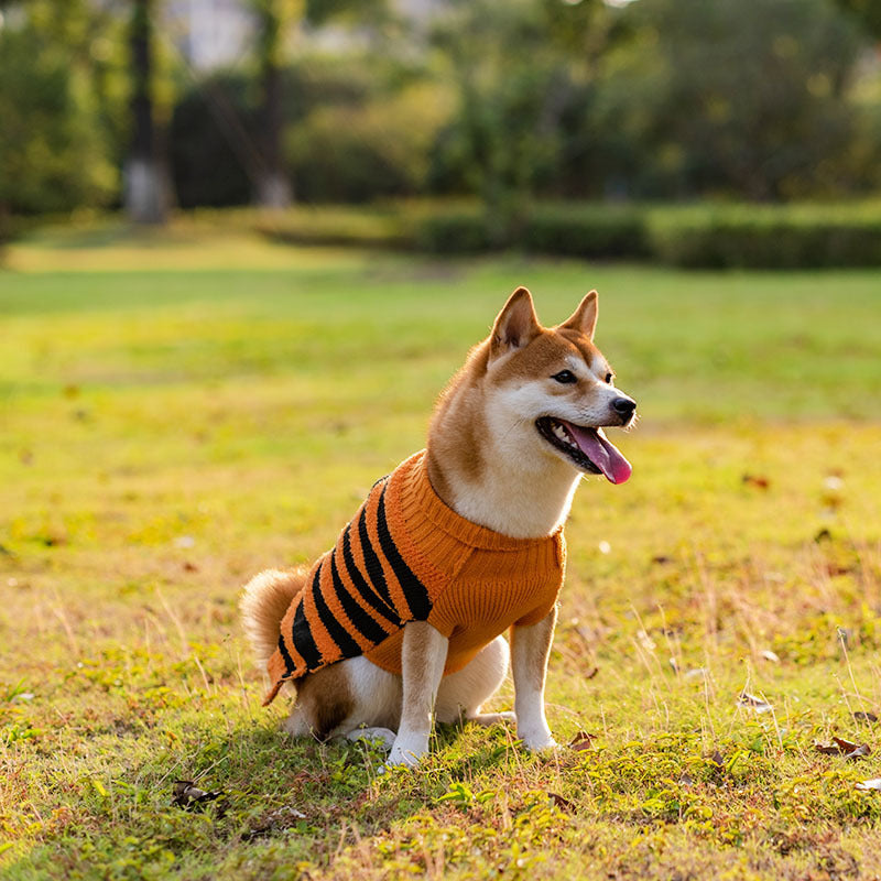 Groom Glory Halloween Dog Sweaters – Cozy Pet Costume for Small Dogs | Fall & Winter Cosplay Outfit