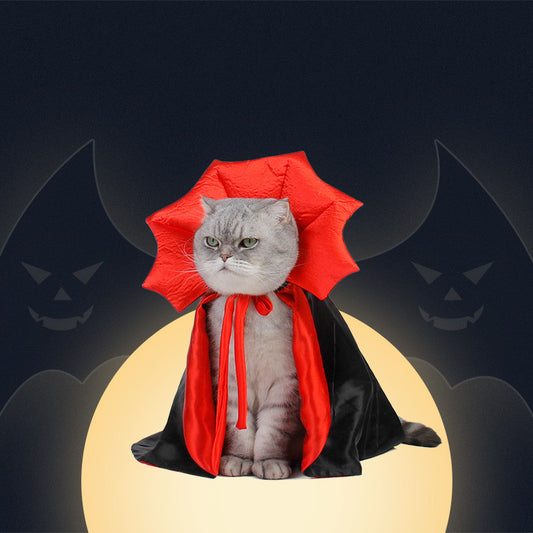 Groom Glory  Halloween Pet Costume – Vampire King Cape for Dogs & Cats