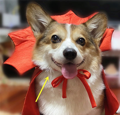 Groom Glory  Halloween Pet Costume – Vampire King Cape for Dogs & Cats