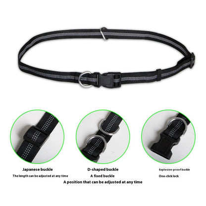 Groom Glory Hands-Free Dog Leash
