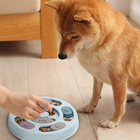 Groom Glory Interactive Dog Puzzle Feeding Bowl