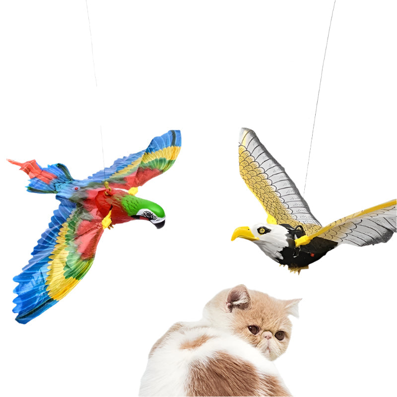 Groom Glory Interactive Hanging Bird Toy for Cats