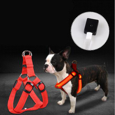 Groom Glory LED Light-Up Dog Harness