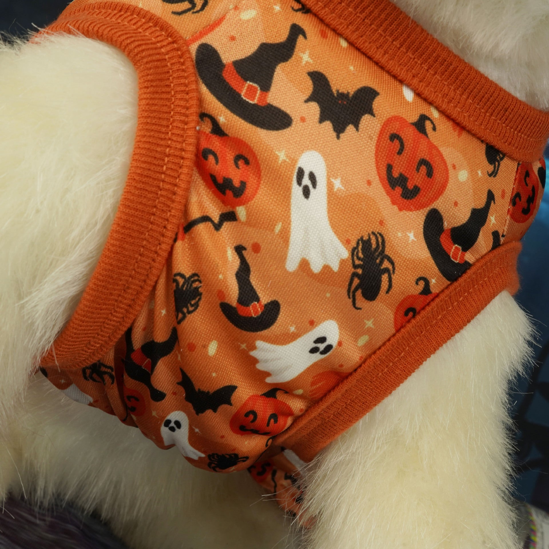 Groom Glory Pet Halloween Party Dress – Cute Orange Costume for Dogs & Cats