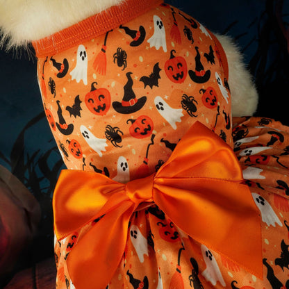 Groom Glory Pet Halloween Party Dress – Cute Orange Costume for Dogs & Cats