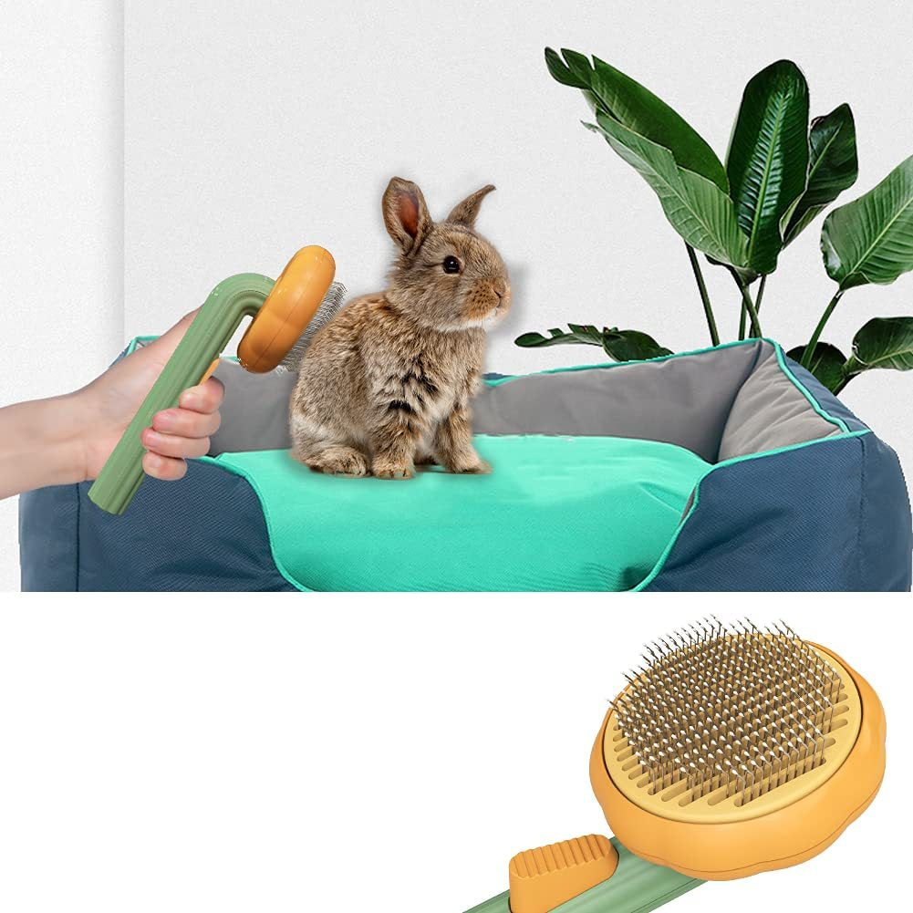 Groom Glory Pet Pumpkin Grooming Brush for Dogs & Cats