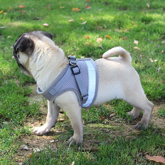 Groom Glory Reflective Dog Harness Vest with Leash – Breathable & Adjustable