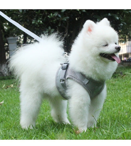 Groom Glory Reflective Dog Harness Vest with Leash – Breathable & Adjustable