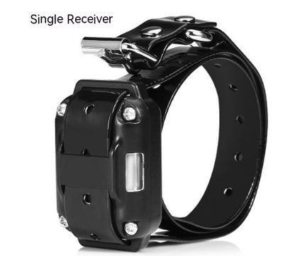 Groom Glory Remote Control Dog Training Collar